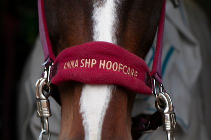 Именной недоуздок